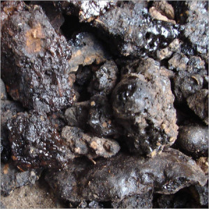 Moomiyo (Shilajit) Photo